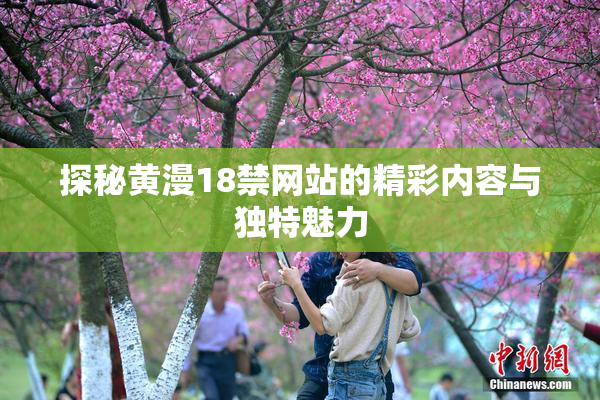 探秘黄漫18禁网站的精彩内容与独特魅力