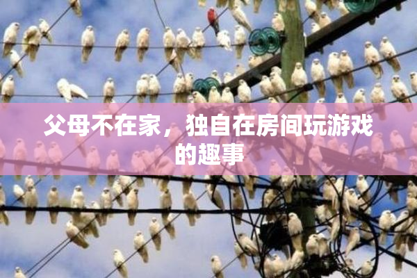父母不在家，独自在房间玩游戏的趣事