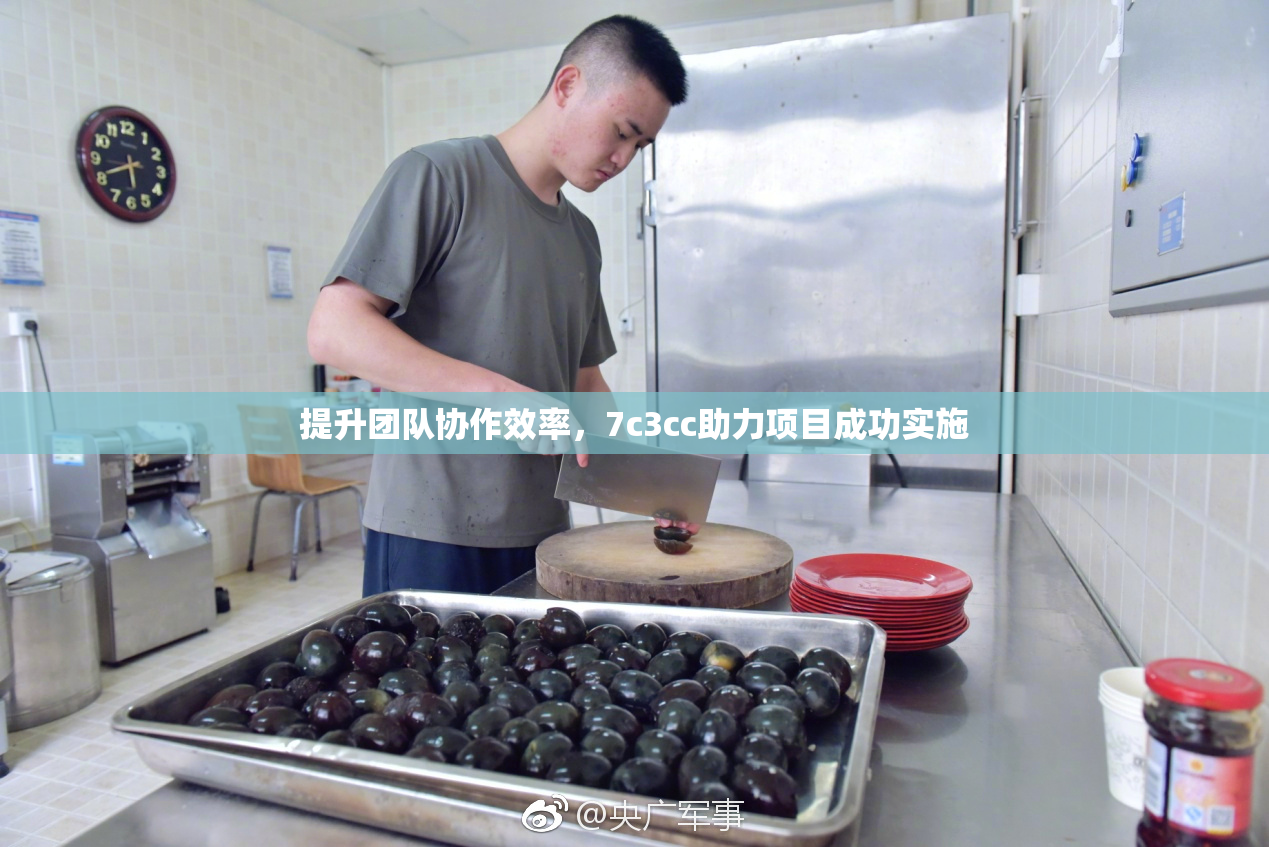 提升团队协作效率，7c3cc助力项目成功实施