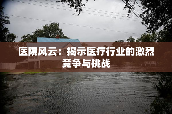 医院风云：揭示医疗行业的激烈竞争与挑战