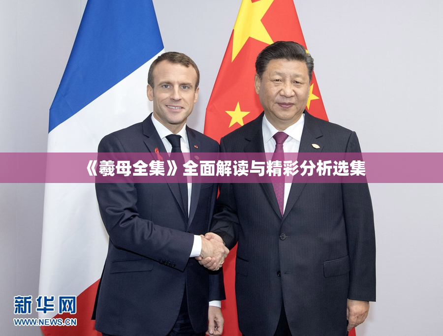 《羲母全集》全面解读与精彩分析选集