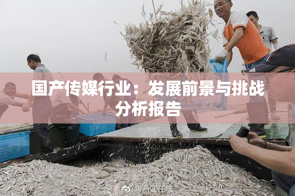 国产传媒行业：发展前景与挑战分析报告