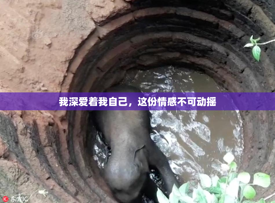 我深爱着我自己，这份情感不可动摇