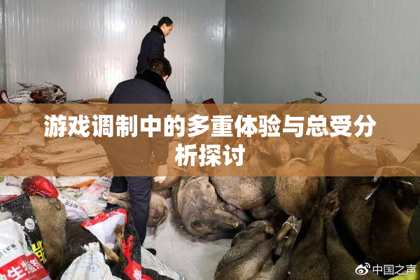 游戏调制中的多重体验与总受分析探讨