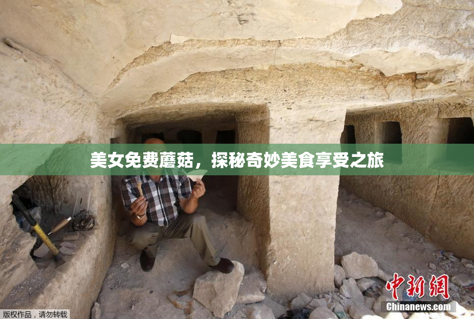 美女免费蘑菇，探秘奇妙美食享受之旅