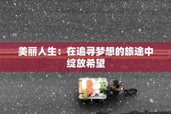美丽人生：在追寻梦想的旅途中绽放希望