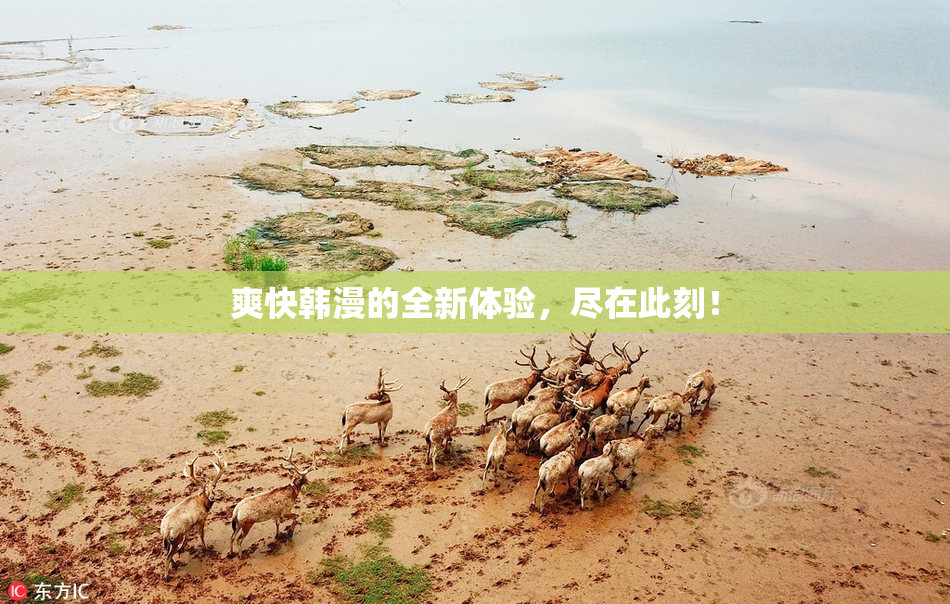 爽快韩漫的全新体验，尽在此刻！