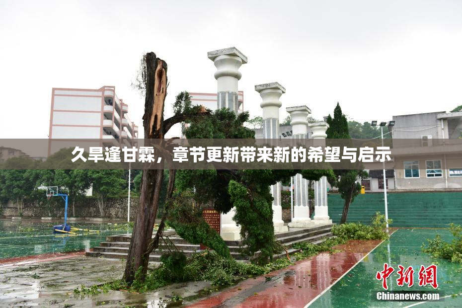 久旱逢甘霖，章节更新带来新的希望与启示