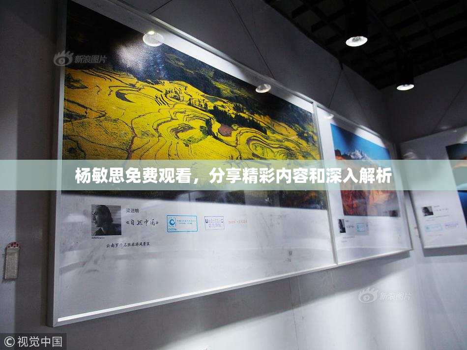 杨敏思免费观看，分享精彩内容和深入解析