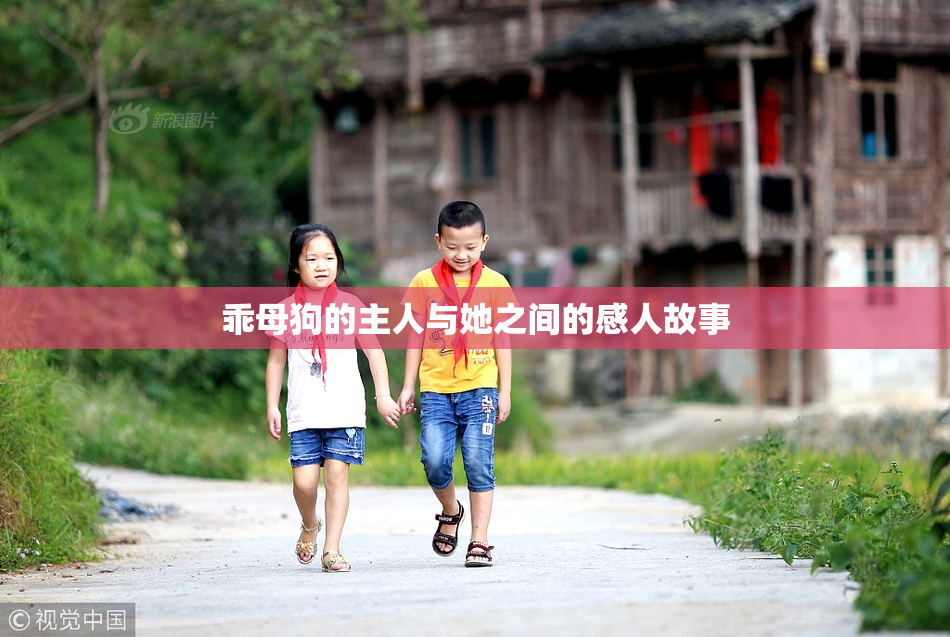 乖母狗的主人与她之间的感人故事