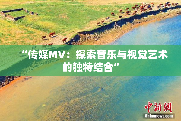 “传媒MV：探索音乐与视觉艺术的独特结合”