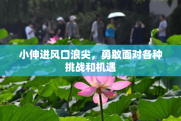 小伸进风口浪尖，勇敢面对各种挑战和机遇