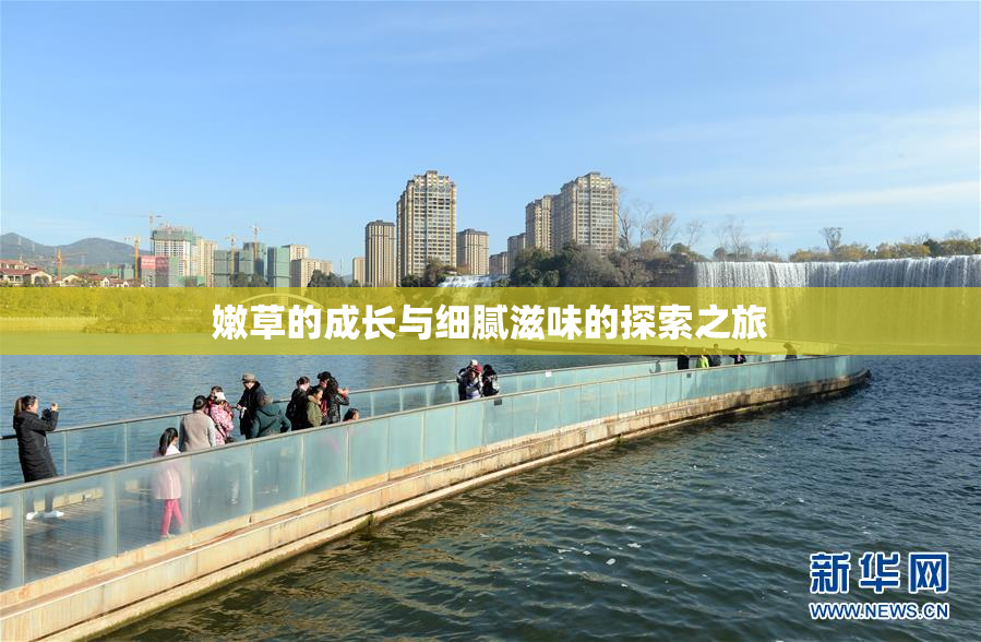 嫩草的成长与细腻滋味的探索之旅