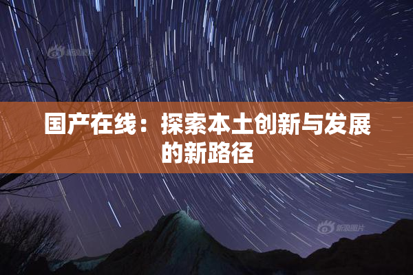 国产在线：探索本土创新与发展的新路径