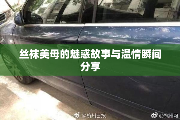 丝袜美母的魅惑故事与温情瞬间分享