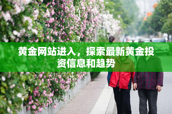 黄金网站进入，探索最新黄金投资信息和趋势