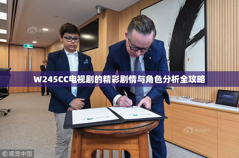 W245CC电视剧的精彩剧情与角色分析全攻略