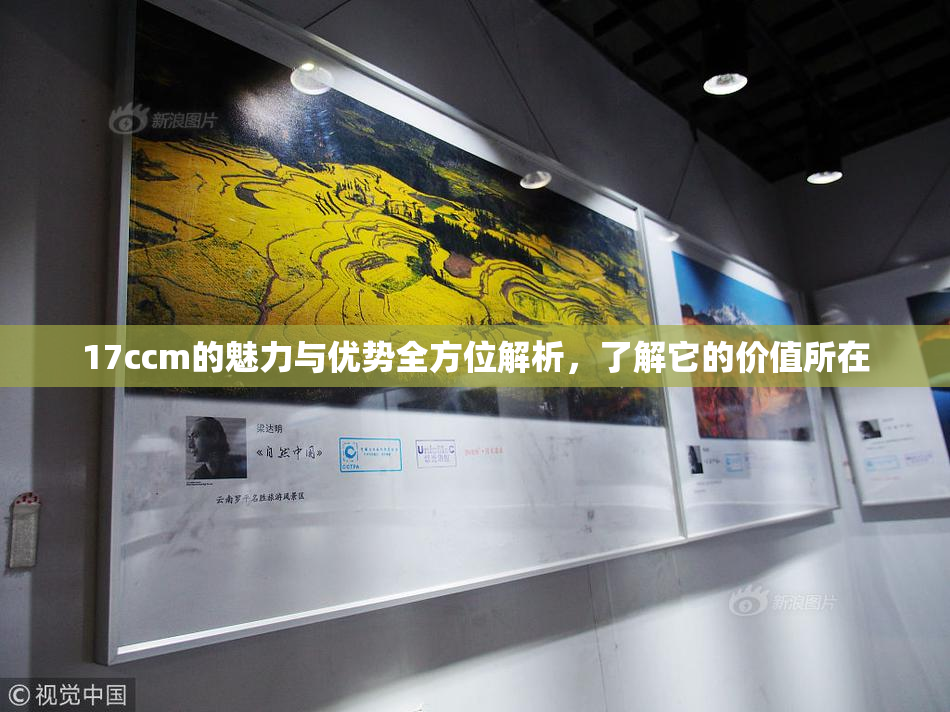 17ccm的魅力与优势全方位解析，了解它的价值所在