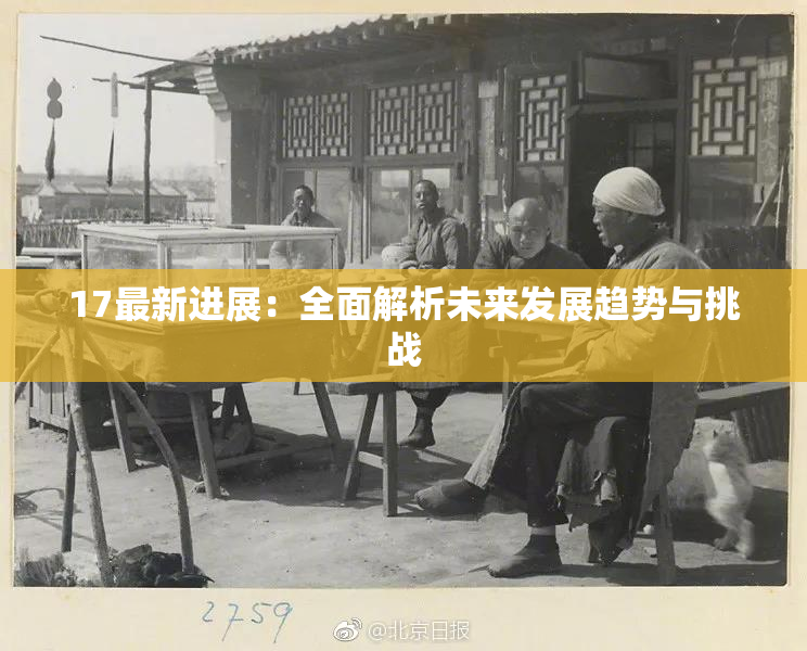 17最新进展：全面解析未来发展趋势与挑战