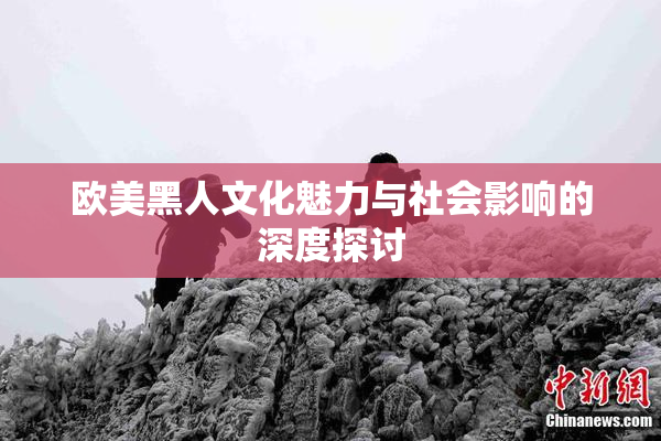 欧美黑人文化魅力与社会影响的深度探讨