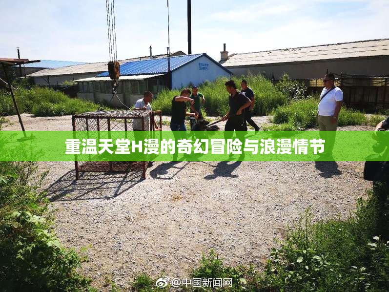 重温天堂H漫的奇幻冒险与浪漫情节