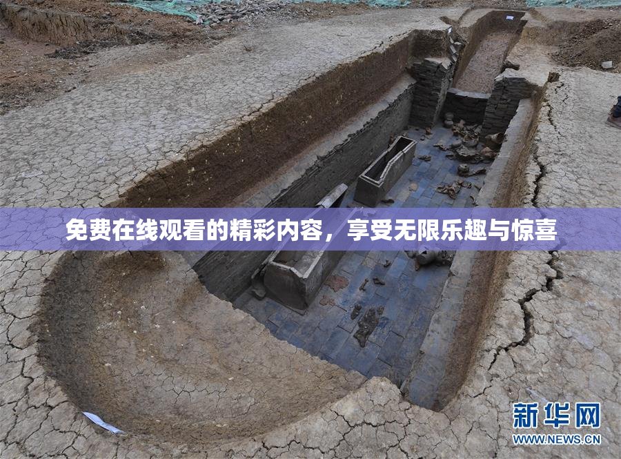 免费在线观看的精彩内容，享受无限乐趣与惊喜