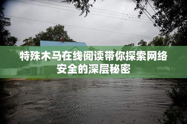 特殊木马在线阅读带你探索网络安全的深层秘密