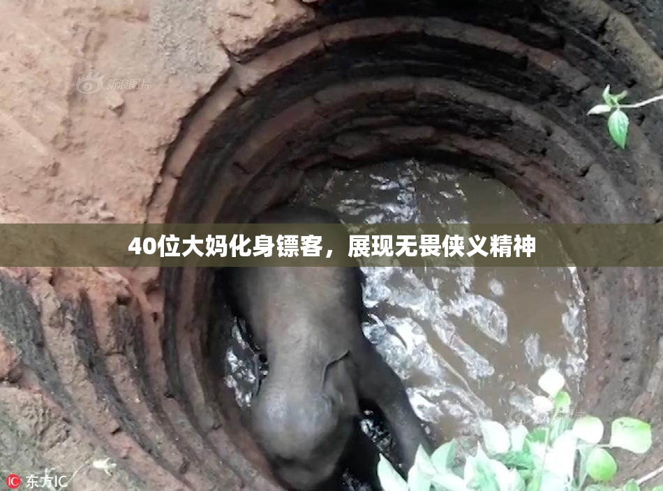 40位大妈化身镖客，展现无畏侠义精神
