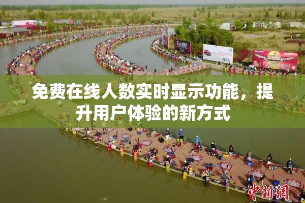免费在线人数实时显示功能，提升用户体验的新方式