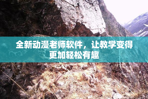 全新动漫老师软件，让教学变得更加轻松有趣