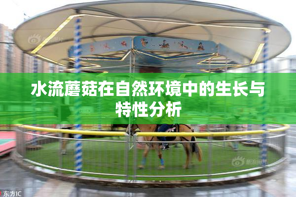 水流蘑菇在自然环境中的生长与特性分析