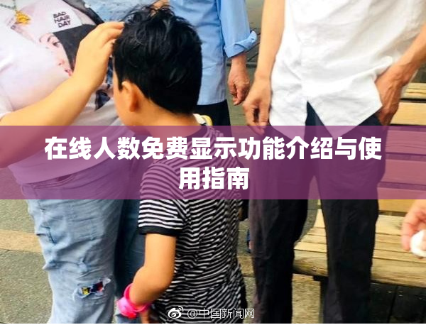 在线人数免费显示功能介绍与使用指南