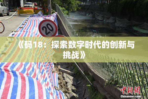 《码18：探索数字时代的创新与挑战》