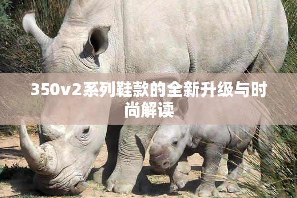 350v2系列鞋款的全新升级与时尚解读