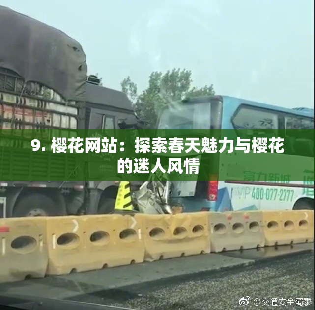 9. 樱花网站：探索春天魅力与樱花的迷人风情