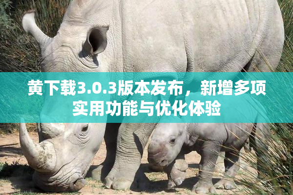 黄下载3.0.3版本发布，新增多项实用功能与优化体验