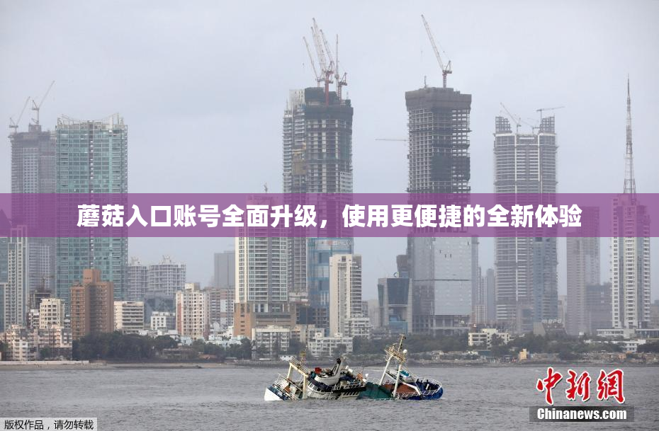蘑菇入口账号全面升级，使用更便捷的全新体验