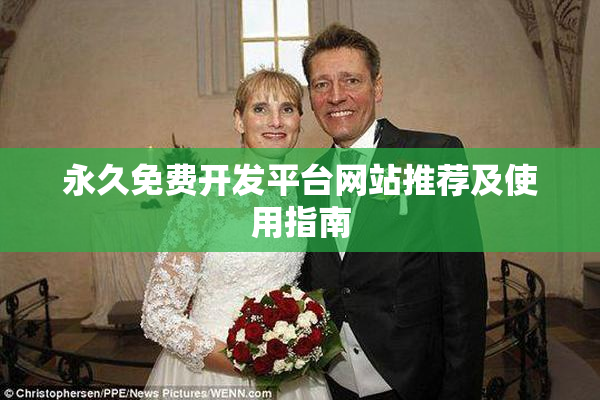 永久免费开发平台网站推荐及使用指南