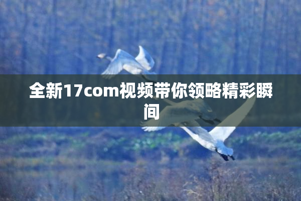 全新17com视频带你领略精彩瞬间