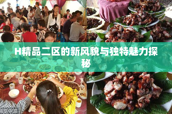 H精品二区的新风貌与独特魅力探秘