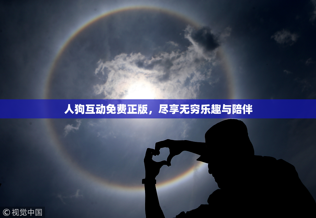 人狗互动免费正版，尽享无穷乐趣与陪伴