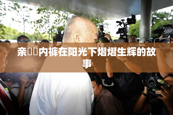 亲妺妺内裤在阳光下熠熠生辉的故事