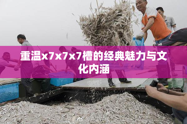 重温x7x7x7槽的经典魅力与文化内涵