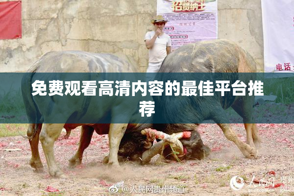 免费观看高清内容的最佳平台推荐