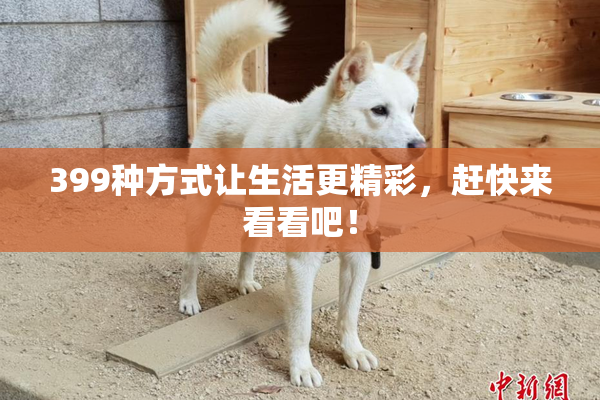 399种方式让生活更精彩，赶快来看看吧！