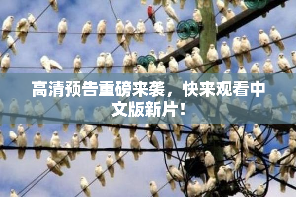 高清预告重磅来袭，快来观看中文版新片！