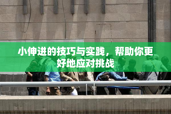 小伸进的技巧与实践，帮助你更好地应对挑战