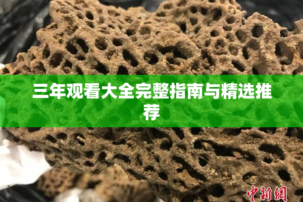 三年观看大全完整指南与精选推荐