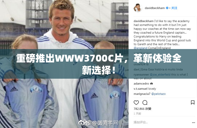 重磅推出WWW3700C片，革新体验全新选择！