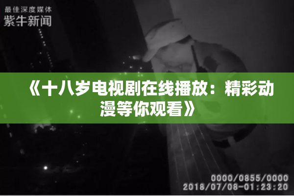 《十八岁电视剧在线播放：精彩动漫等你观看》